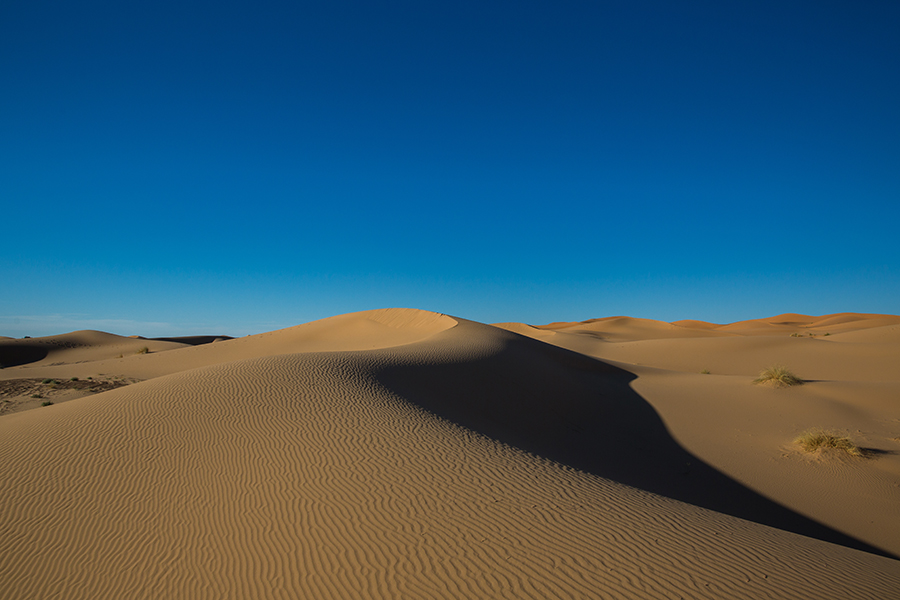 Sahara-Desert-126