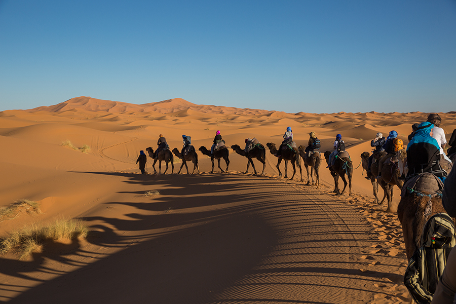Sahara Desert Tour Morocco Camel Ride Travel 