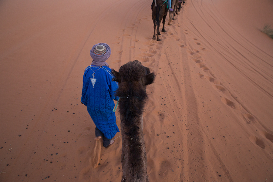 Sahara Desert Tour Morocco Camel Ride Travel 